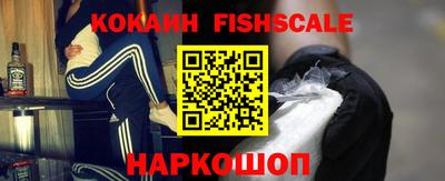 гашик Можга