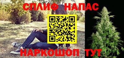 гашик Можга