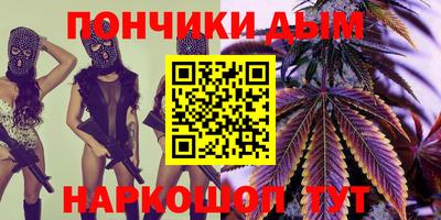 гашик Можга