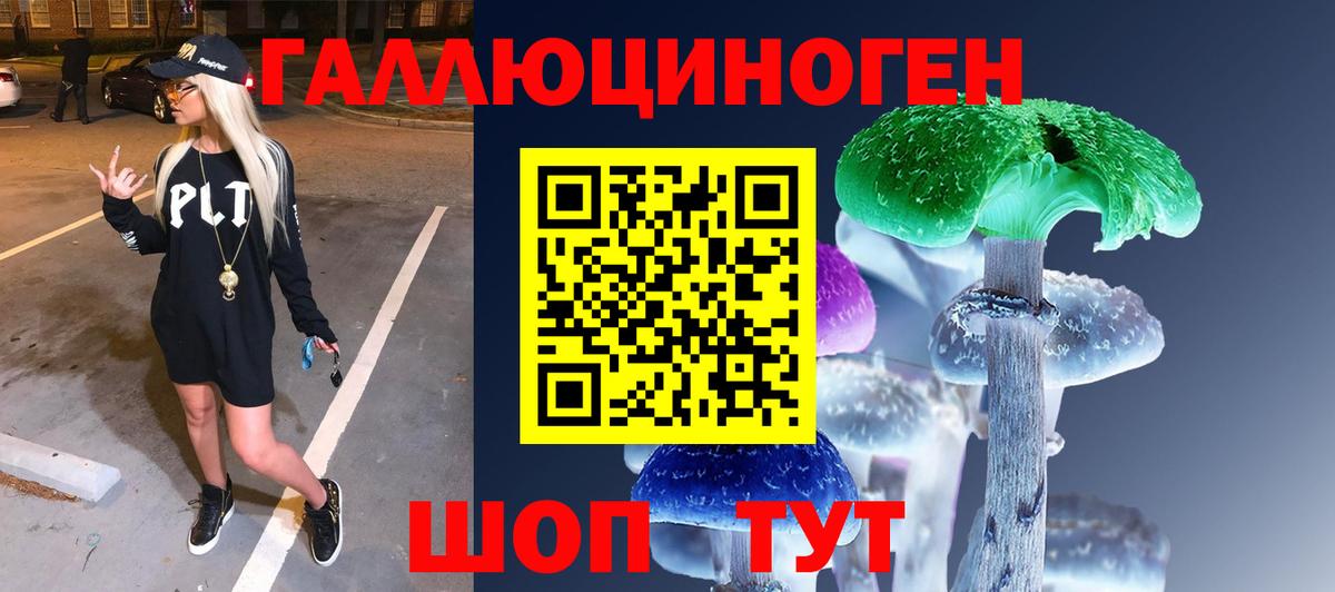 Сунжа  Галлюциногенные грибы Magic Shrooms  Вход с VPN 